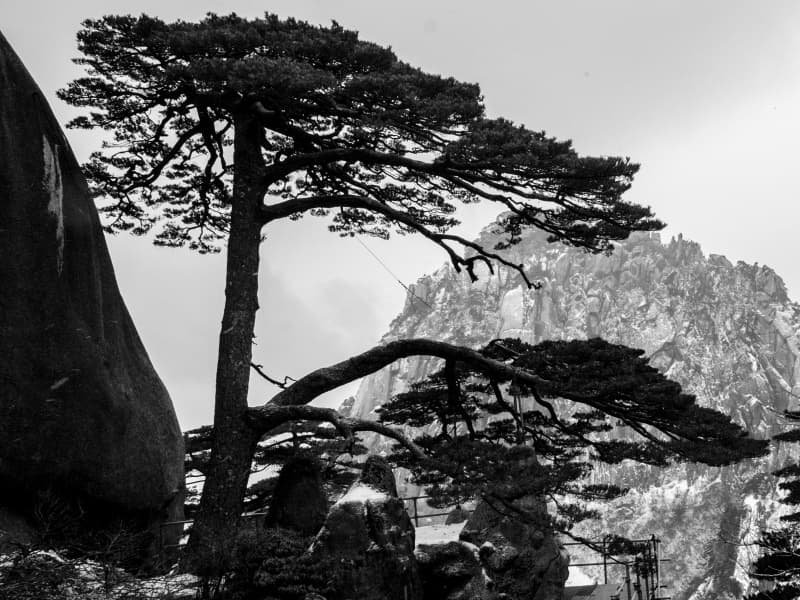 Huangshan travel guide Huangshan mountain scenery with cable car route area and panoramic views