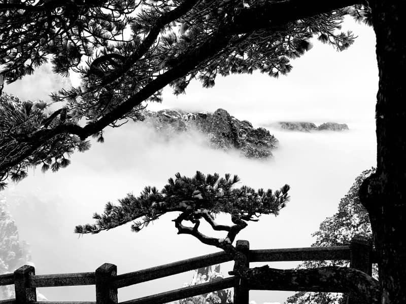 Huangshan travel guide sea of clouds at Huangshan sunrise ridge-line viewpoint